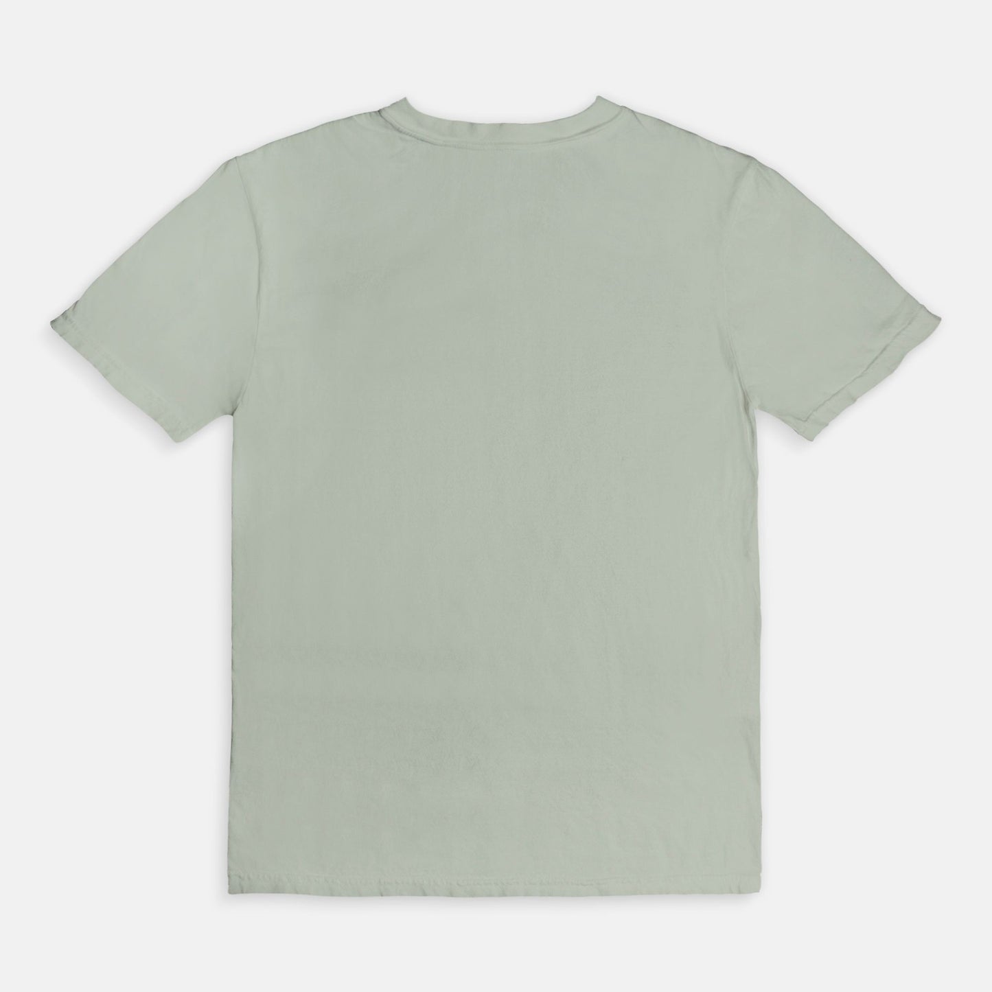 Comfort Color Tee 1717