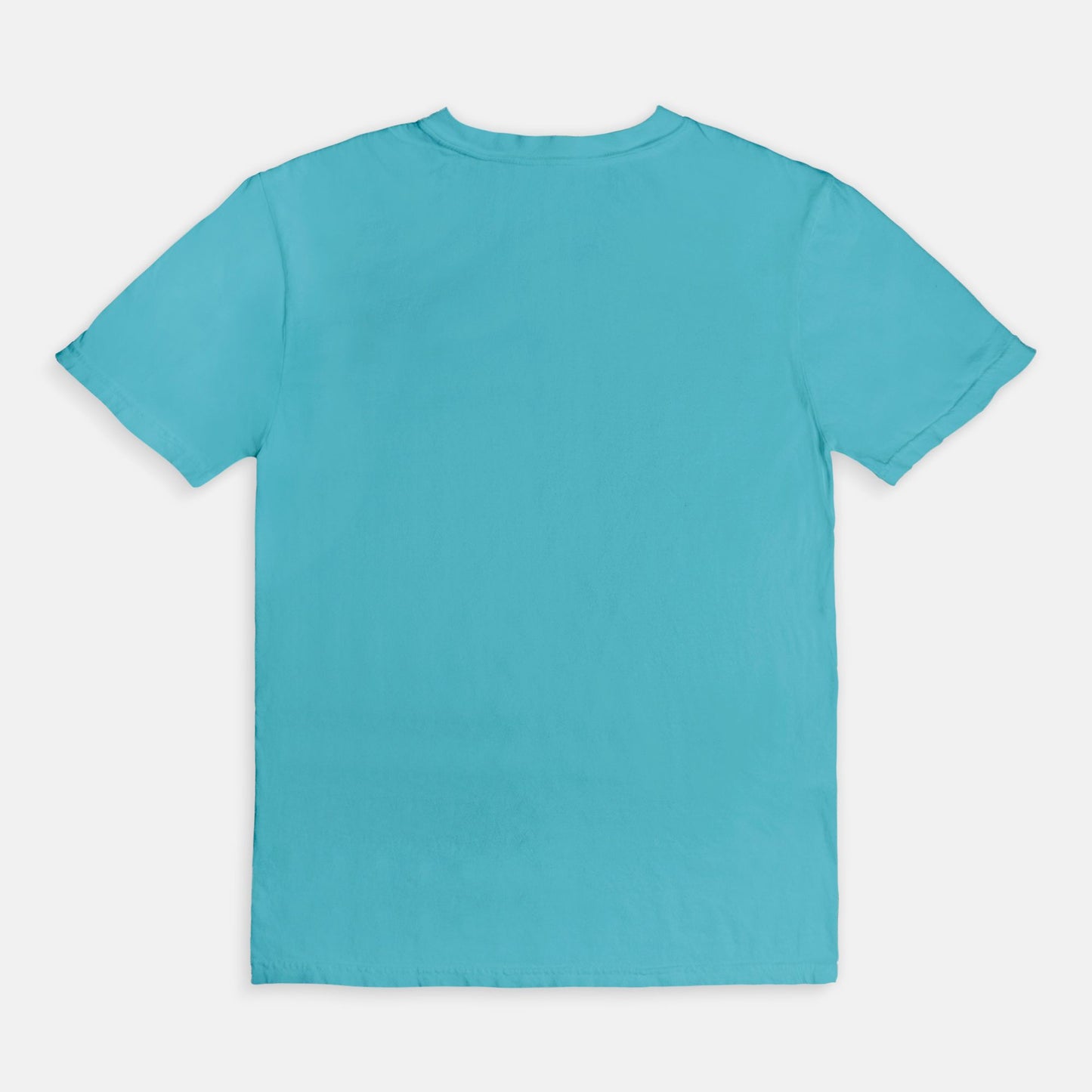 Comfort Color Tee 1717