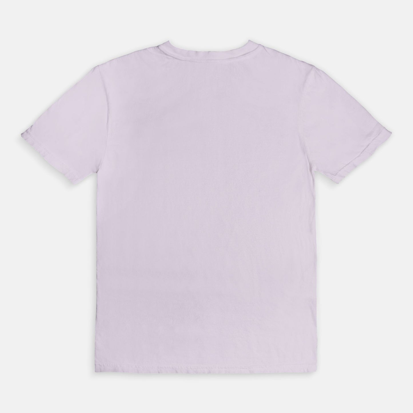 Comfort Color Tee 1717