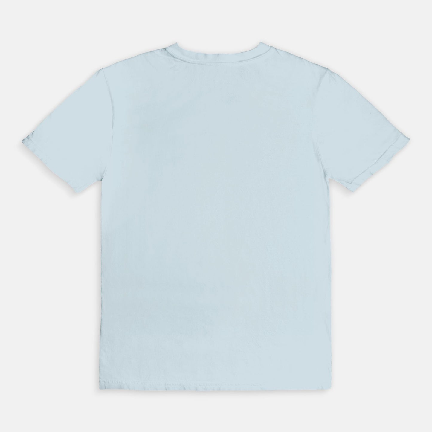 Comfort Color Tee 1717