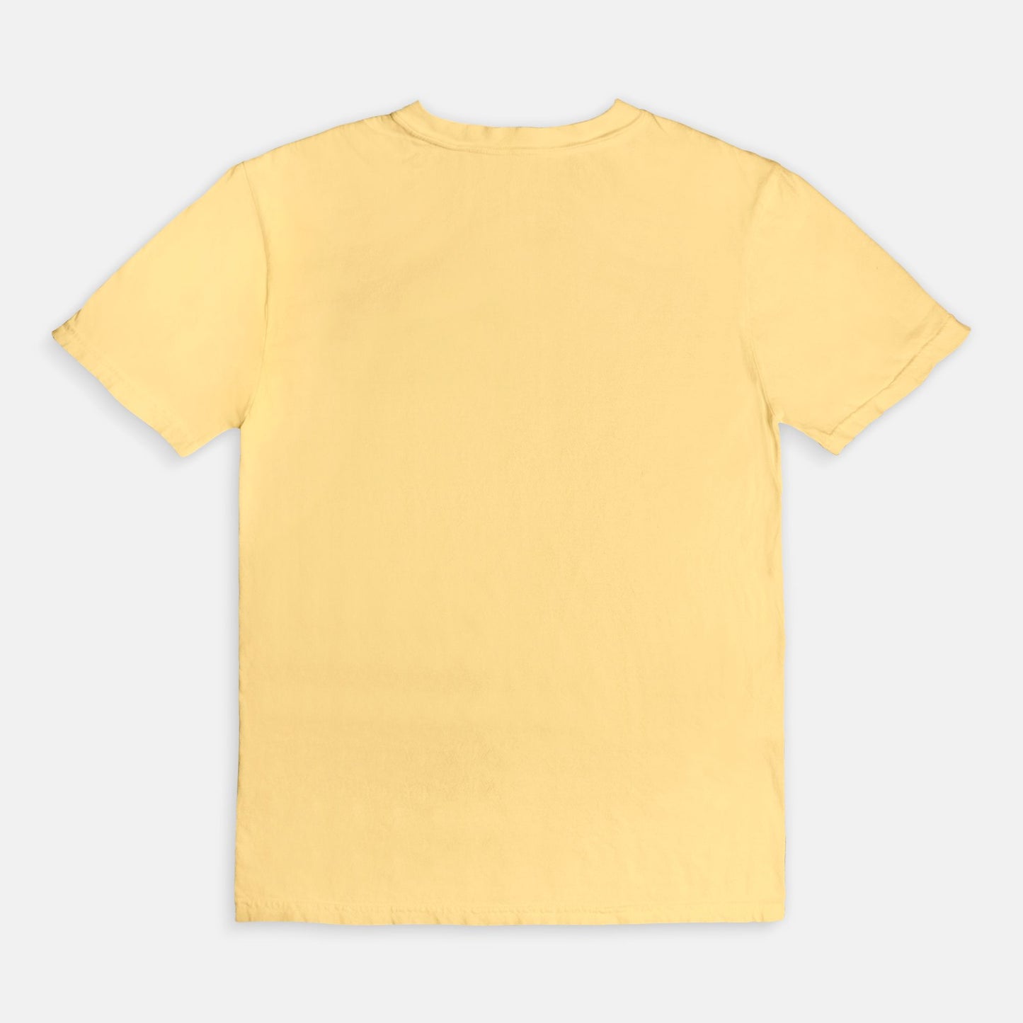 Comfort Color Tee 1717