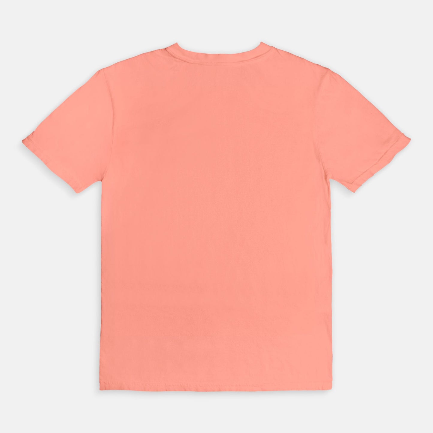 Comfort Color Tee 1717