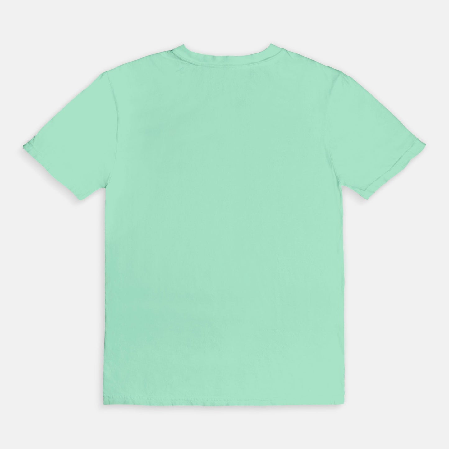 Comfort Color Tee 1717