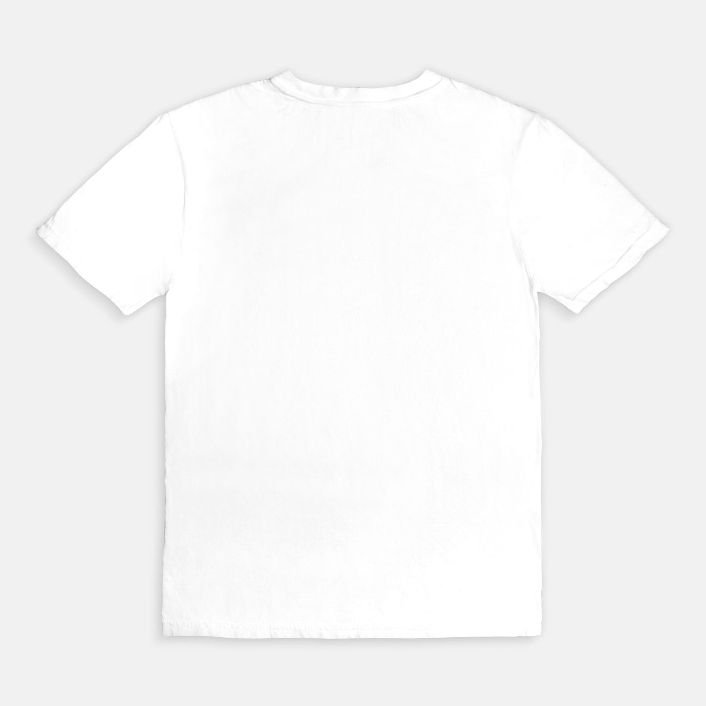 Comfort Color Tee 1717