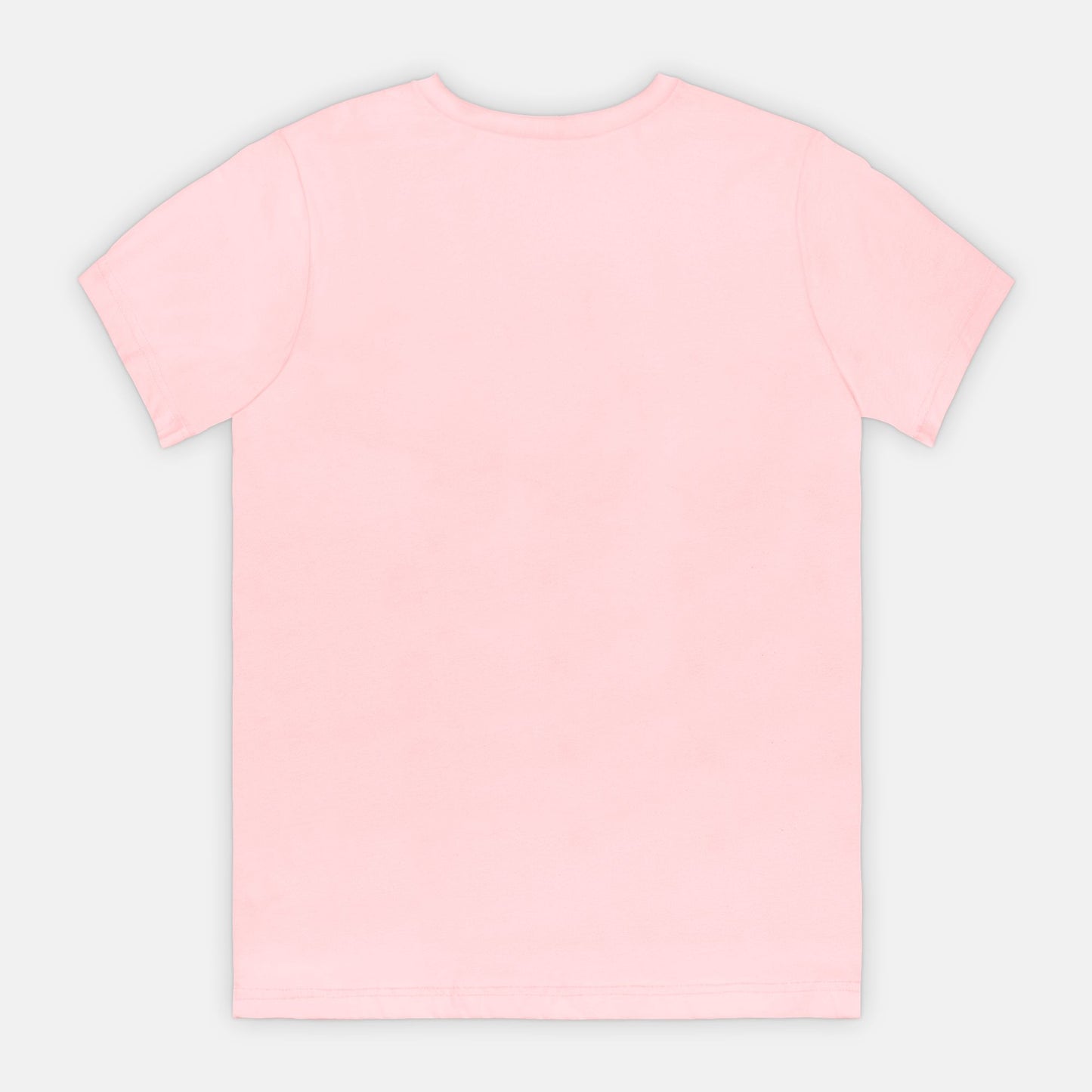 Bella Canvas Unisex Tee 3001