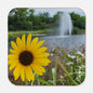 Flowers of Murphy Coaster Hardboard Back (Square) 4PK