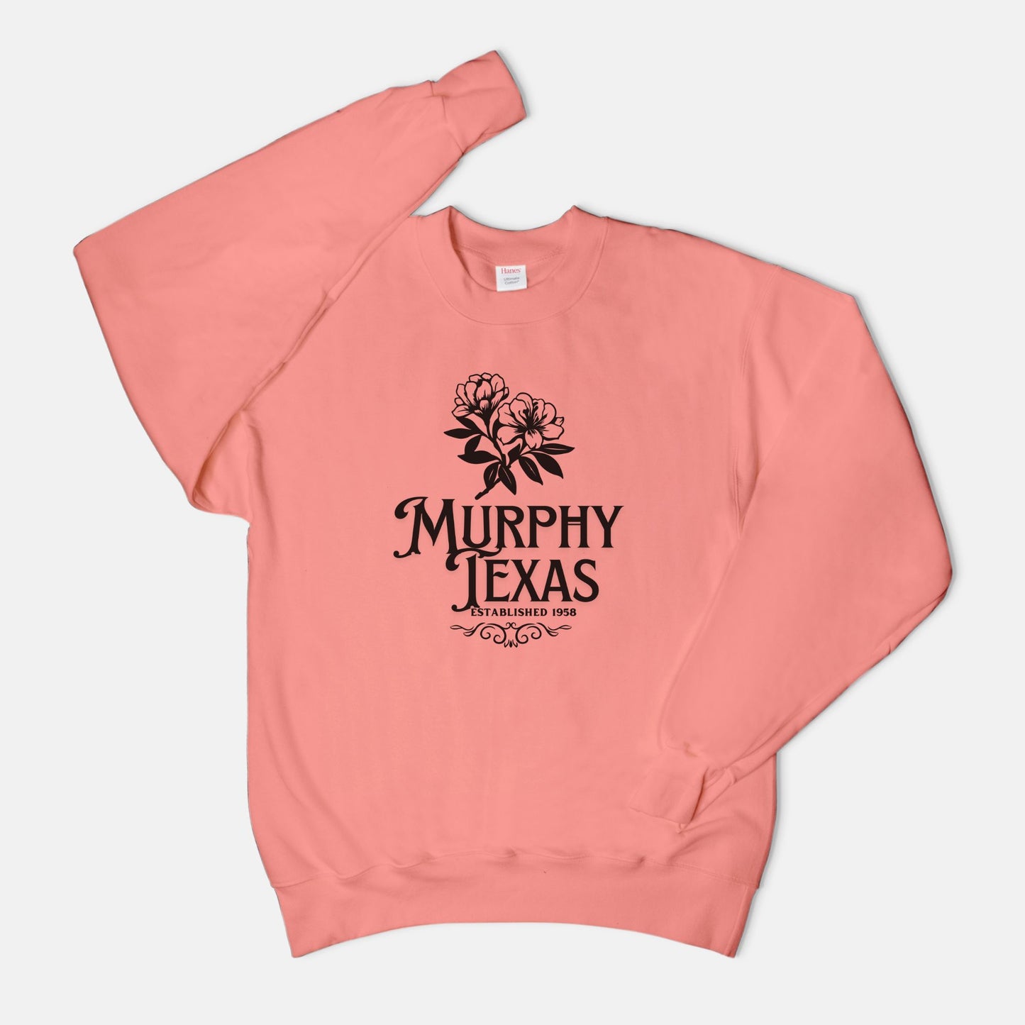 Unisex Crew Neck Sweatshirt Hanes F260