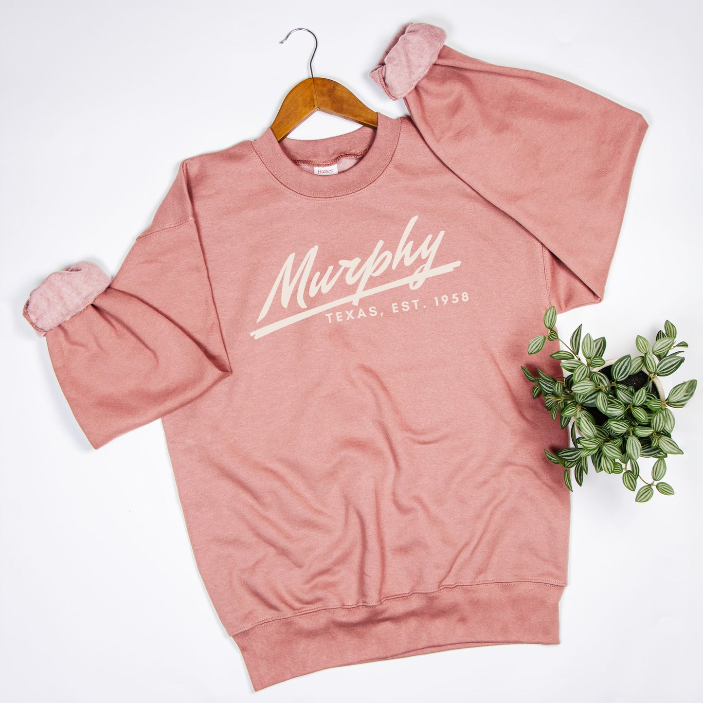 Unisex Crew Neck Sweatshirt Hanes F260